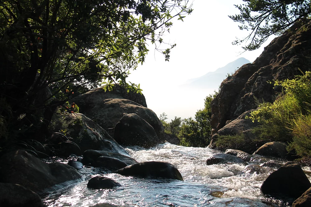 Stream flowing through rocky landscape, symbolizing natural growth and transformation, available at Elevate Your Organization's Culture and Performance With CEEK.