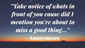 "Sunset with motivational quote about noticing opportunities, only available at Elevate Your Organization's Culture and Performance With CEEK."