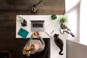 Top view of a modern workspace with a laptop, coffee, and cats, only available at Elevate Your Organization's Culture and Performance With CEEK.